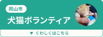 岡山市 犬猫ボランティア