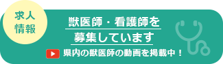 求人情報