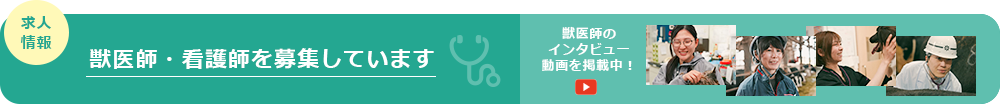 求人情報