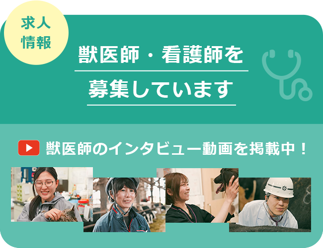 求人情報