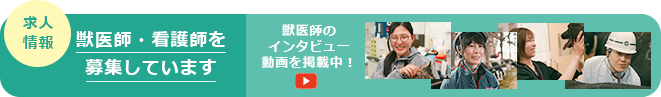 求人情報